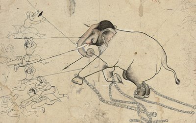 イサルダまたはコタの象の飼いならしの準備図、1720年頃 作： Indian School