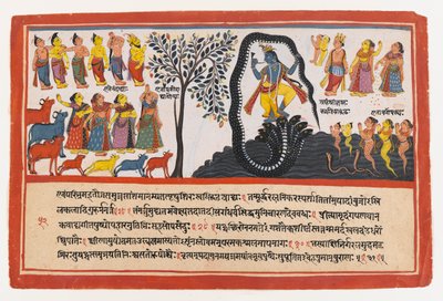 クリシュナは蛇のカリヤを征服します、分散バガヴァタプラーナシリーズのページ、1775年頃（不透明なトイレと紙の上の金） 作： Indian School