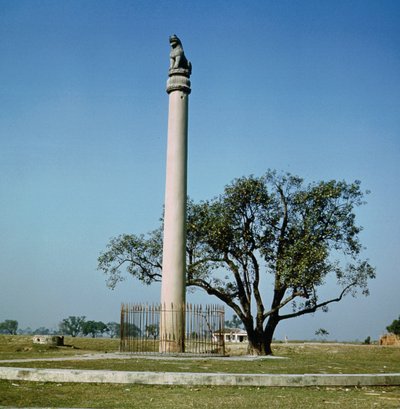 アショカ皇帝のライオンの柱（紀元前264〜223年頃） 作： Indian School