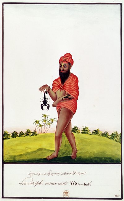 Ms Indien 743サソリ咬傷に対する治療薬の売り手、1831年 作： Indian School