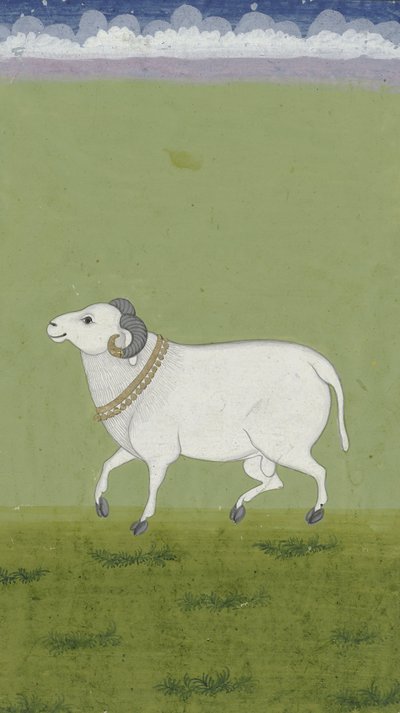 黄金の首輪付きラム、1700〜1799 作： Indian School