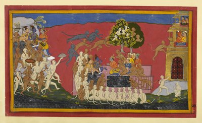  作： Indian School