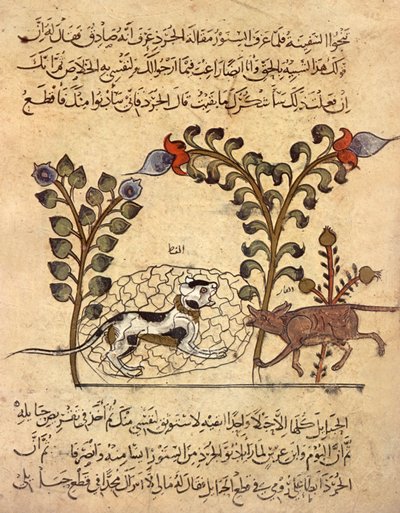 アラブの細密画「猫とネズミ」（『カリラ ヴァ ディムナ』より 作： Indian School