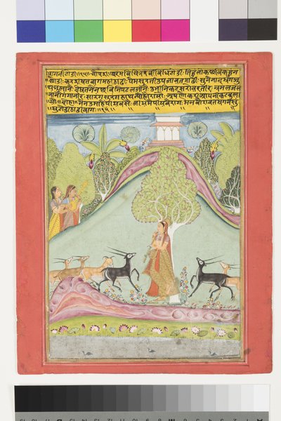 トーディ・ラジーニ、1700年頃（紙に不透明なWCと金） 作： Indian School