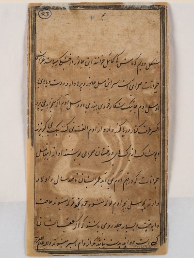 女性の頭を持つ神話上の孔雀の裏面、1750年頃（紙にペンとインク） 作： Indian School