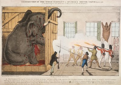 「高貴な象の破壊はクロス氏のエクセターチェンジに座っていた」、1826 作： Ingrey and Madeley