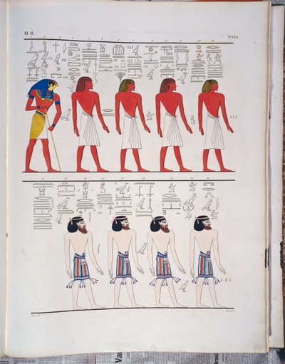 メンフタ1世の墓に描かれた「エジプト人に知られている様々な種類の人間」（イポリット・ロッセリーニ著「エジプトとヌビアのモニュメント」より抜粋 作： Ippolito Rosellini