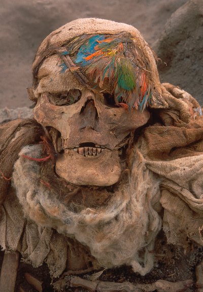 最近発掘された、高い身分の証である羽毛の頭飾りをつけた骸骨（2001年）（写真）。 作： Ira Block