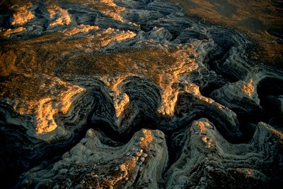 乾燥したユタ州メサの空撮写真-グランド・ガルチは数多くのメサイアに水を供給している。 作： Ira Block