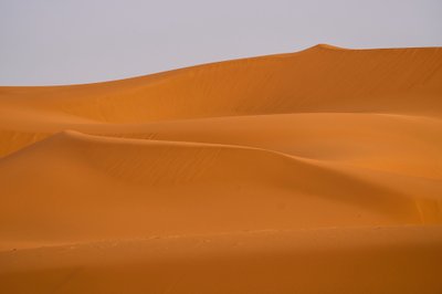 エルグ・シェビの砂丘、サハラ砂漠、モロッコ、2022年（写真） 作： Ira Block