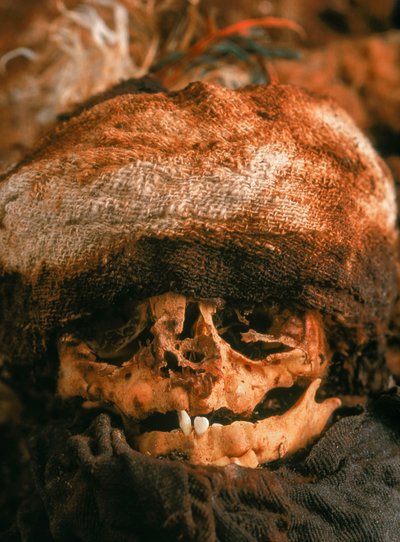 2001年、束ねられて埋められた赤ん坊の頭蓋骨（写真） 作： Ira Block