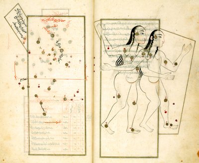 アル・スーフィの定星の書からの星座ジェミニ 作： Iranian Master
