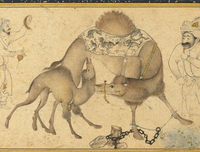 ラクダとその子牛、サファヴィッドイラン、1650〜1700年 作： Iranian School