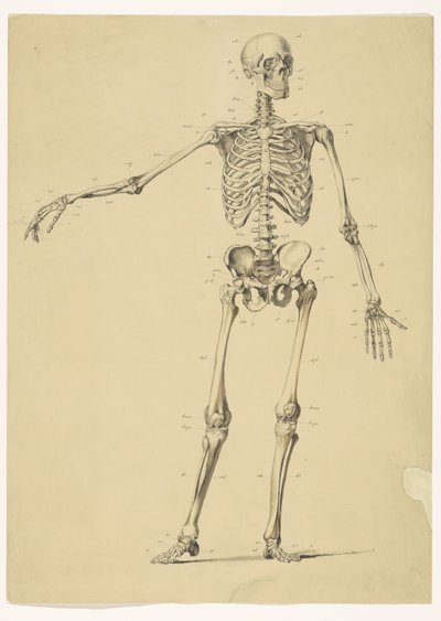 人骨、メモ付き 作： Isaac Weissenbruch