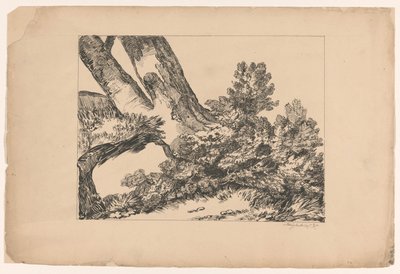 木の下の植生 作： Isaac Weissenbruch