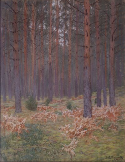 シダ、1894 作： Isaak Ilyich Levitan