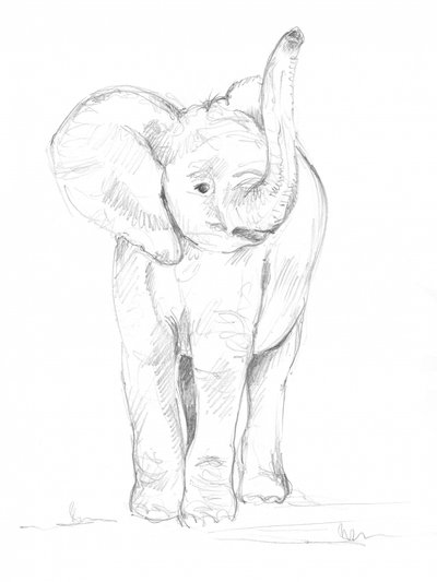 子ゾウ 02 作： 