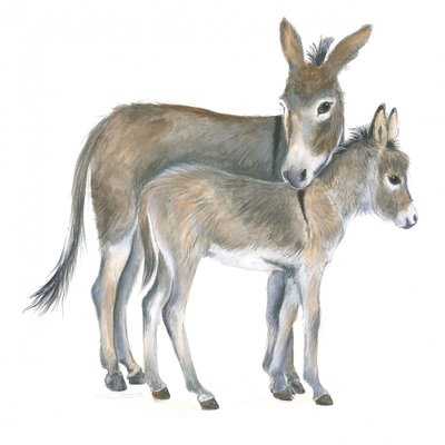 ロバと子馬 作： 