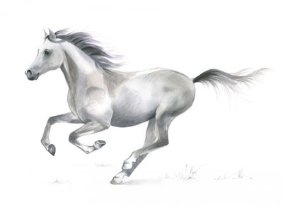 疾走する馬の躍動的な優美さ 作： 