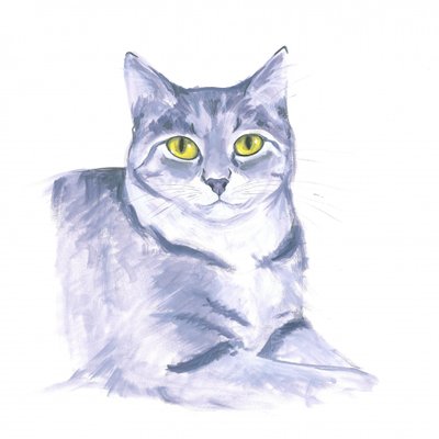 観察する猫 作： 