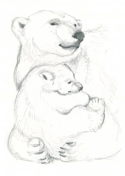 ホッキョクグマと子グマの素描 作： 