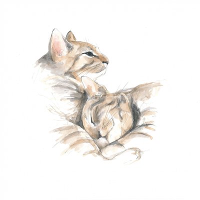くつろぐ猫たち 作： 