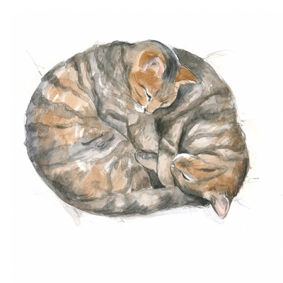 丸い猫たち 作： 