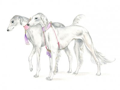 繊細な首輪を着けたサルーキ犬 作： 
