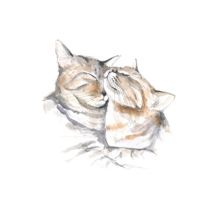 すやすや眠る猫たち 作： 