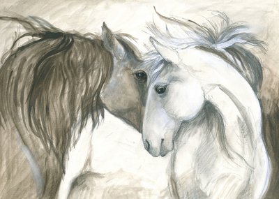 二頭の馬の優しい絆 作： 