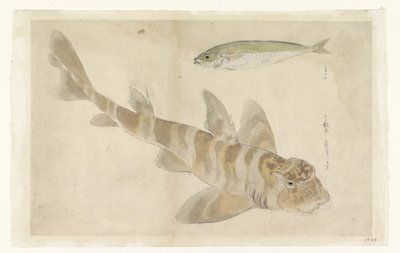 2 匹の魚: ホウボウ (?) とニシン 作： Ishikawa Kazan