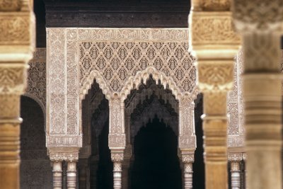 獅子の中庭のアーチの詳細（写真 作： Islamic School