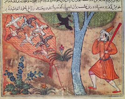 『狩猟の鳥』の「カリラとディムナの書」からの狩猟鳥 作： Islamic School