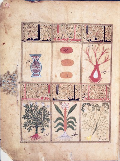 Ms. Arabe 2964 fol.49ガリアン後のセリアック条約からの植物、1217年 作： Islamic School