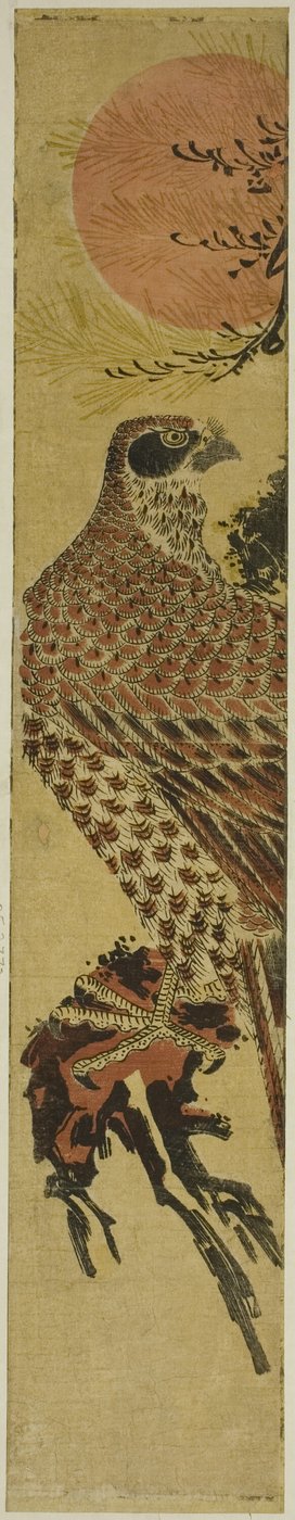 日の出の鷹 作： Isoda Koryusai
