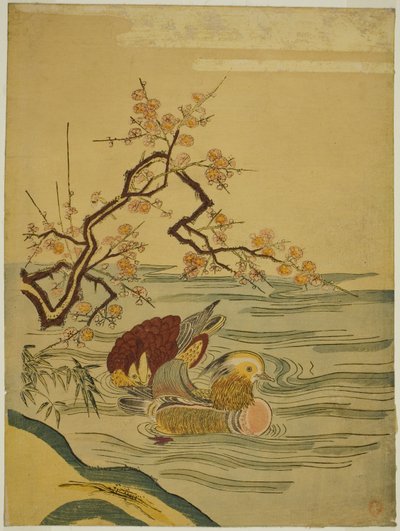 梅の枝の下を泳ぐオシドリ 作： Isoda Koryusai