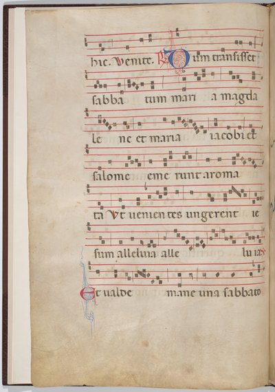対音断片からの葉 2 (裏面) 作： Italian 13th Century