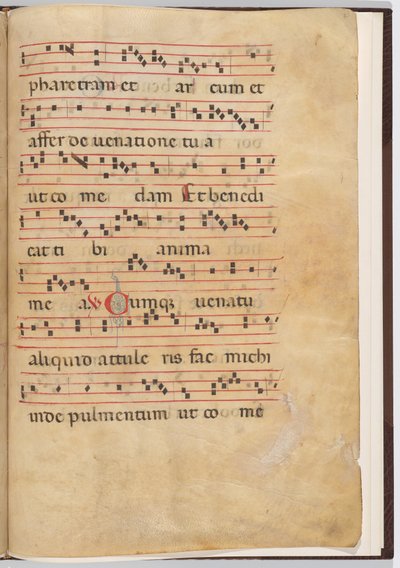 対音断片からのリーフ 8 作： Italian 13th Century