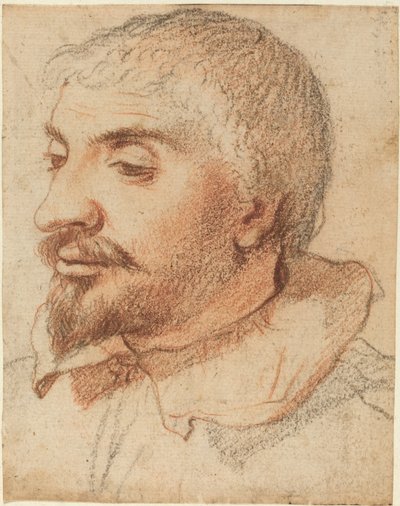 男の頭 作： Italian 17th Century