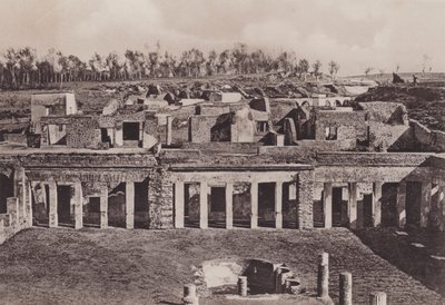 Casa Di Diomede, Diomedesの家（モノクロ写真 作： Italian Photographer
