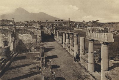 ナポリ。ポンペイ、フォロ・シビレ・コル・パノラマ（モノクロ写真 作： Italian Photographer