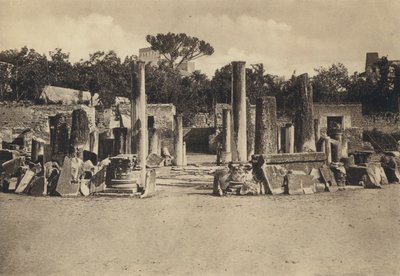 ナポリ：ポッツオーリ、セラピス神殿（モノクロ写真 作： Italian Photographer
