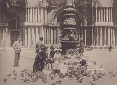 ハト（モノクロ写真 作： Italian Photographer