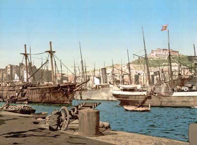 ナポリ港、パブ。 1891年頃 作： Italian Photographer