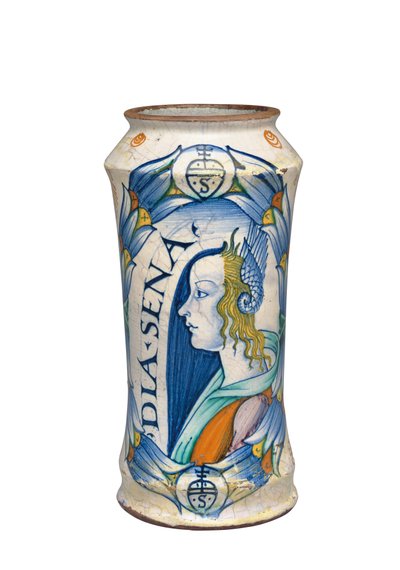 Deruta Maiolica "Bella Donna" Albarello、c.1510-20 作： Italian School
