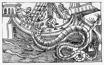 「北部の説明」からの海の蛇 作： Italian School