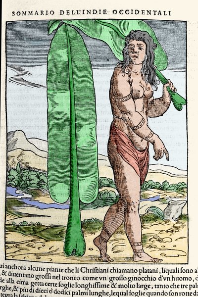 タバコの葉のそばに立つ西インド諸島の先住民の姿。1565年にヴェネツィアで出版されたジョヴァンニ・バッティスタ・ラムシオ（1485-1557）の著書『Navigationi and Viaggi』第3巻からの版画。 作： Italian School
