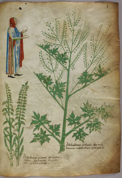 両手に白い地球儀を持つガウンを着た人物、植物、1440年頃（ヴェラムにインクと彩色） 作： Italian School