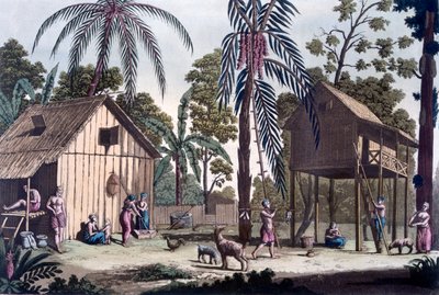 スマトラの先住民居住地、1820年代〜30年代 作： Italian School