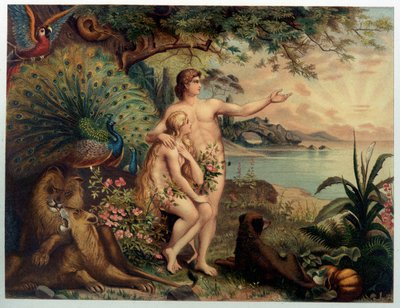 アダムとイブ au Paradise earthly (Eden) - Giovanni Ladislao Sykora著「Aurea Bibbia classica: storia della rivelazione divina nell